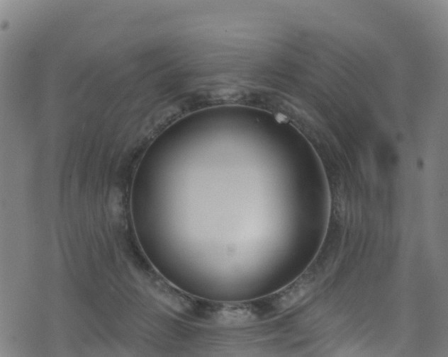 X0000070880270200606231350