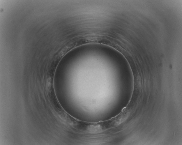 X0000070880271200606231350