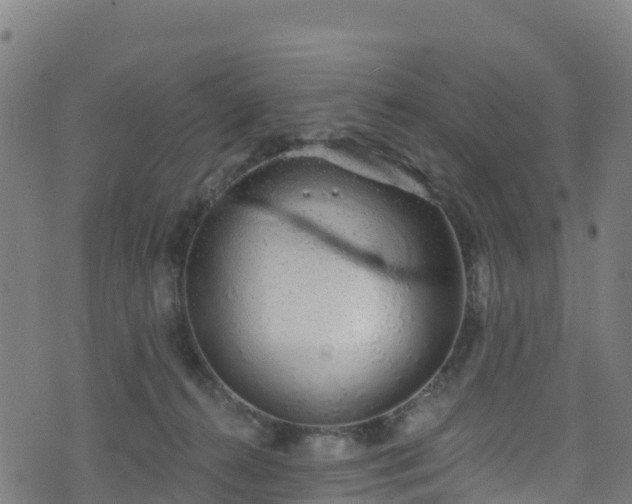 X0000070880272200606231350