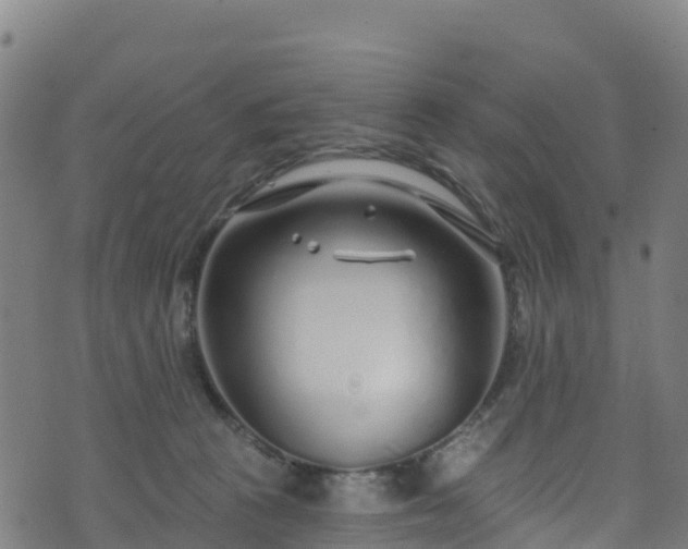 X0000070880273200606231350