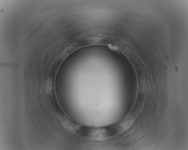 X0000070880274200606231350