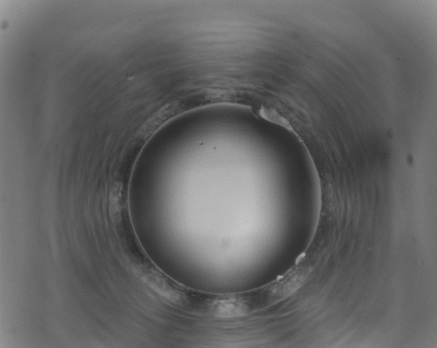 X0000070880275200606231350