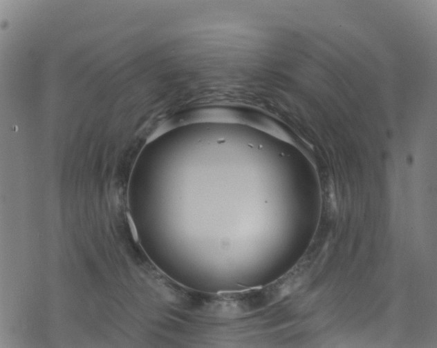 X0000070880276200606231350