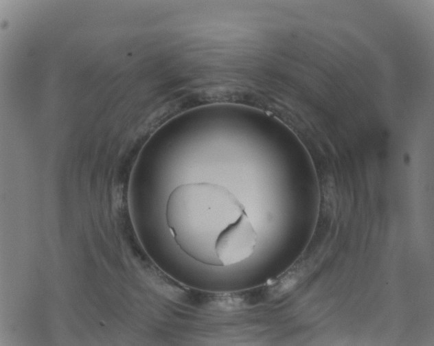 X0000070880278200606231350