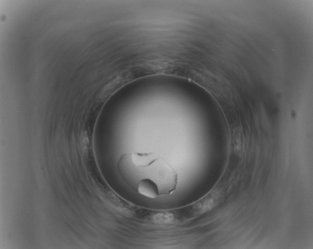 X0000070880279200606231350