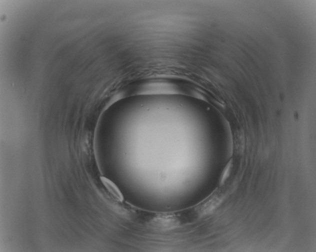 X0000070880280200606231350