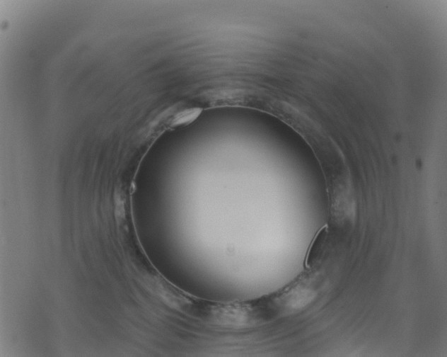 X0000070880282200606231350