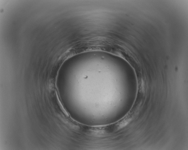 X0000070880284200606231350