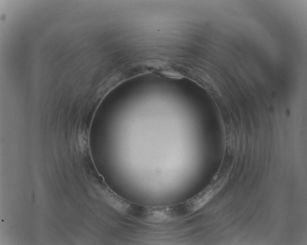 X0000070880285200606231350