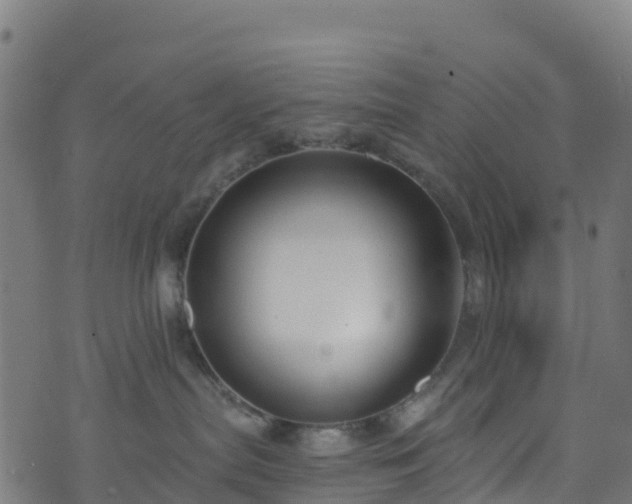 X0000070880287200606231350