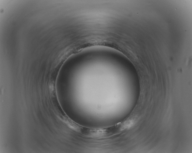 X0000070880288200606231350