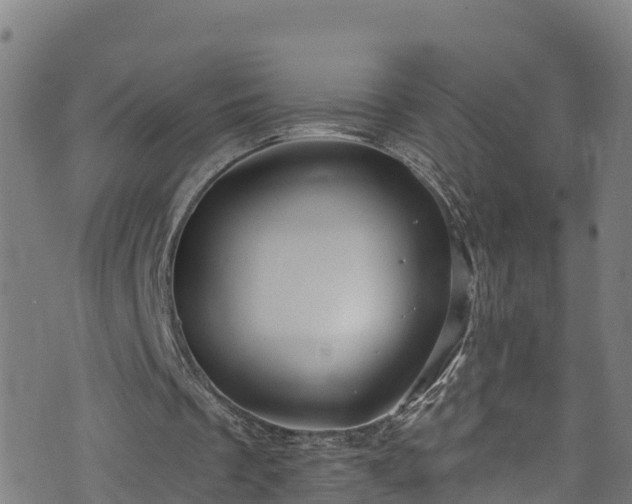 X0000070880289200606231350