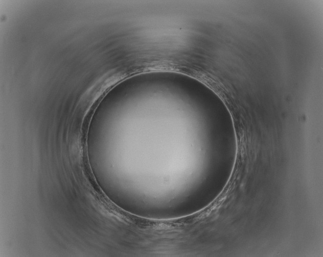 X0000070880290200606231350