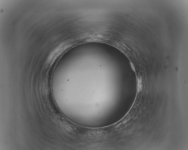 X0000070880291200606231350