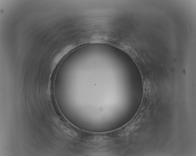 X0000070880292200606231350