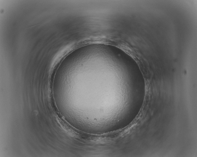 X0000070880293200606231350