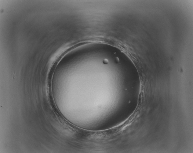 X0000070880294200606231349