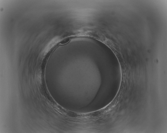 X0000070880295200606231349