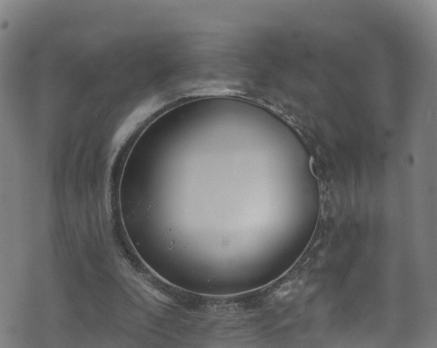 X0000070880296200606231349