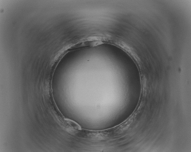 X0000070880297200606231349