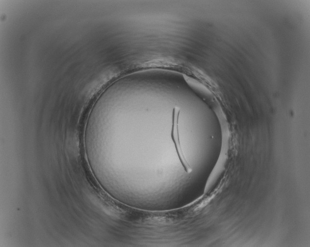 X0000070880298200606231349