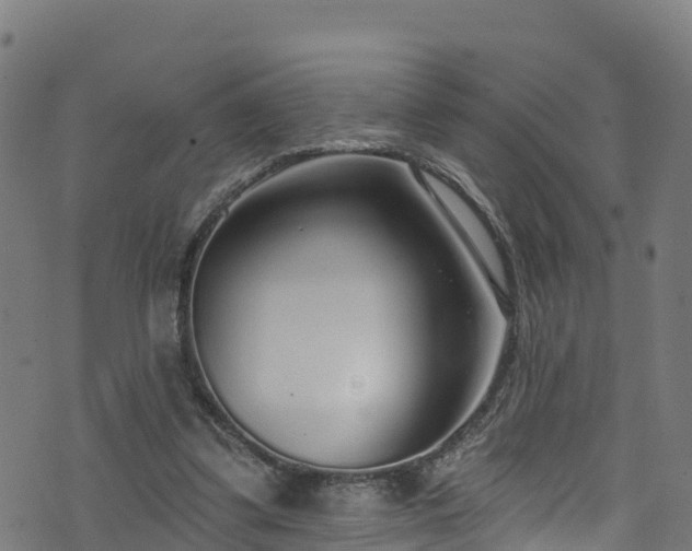 X0000070880299200606231349