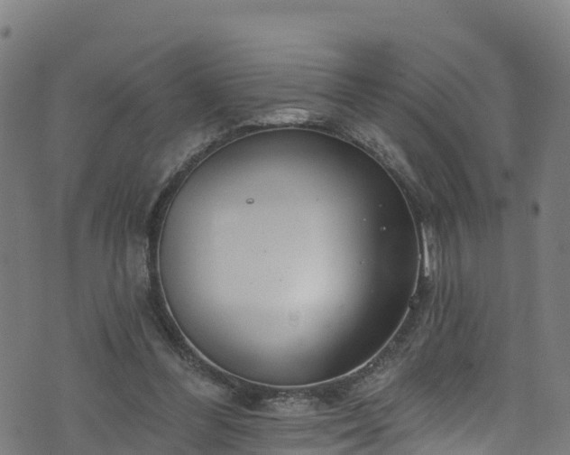 X0000070880300200606231349