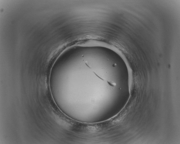 X0000070880302200606231349