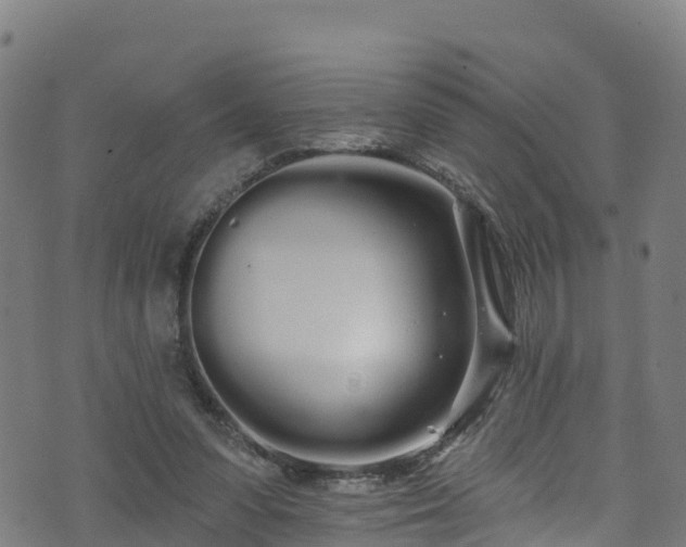 X0000070880303200606231349