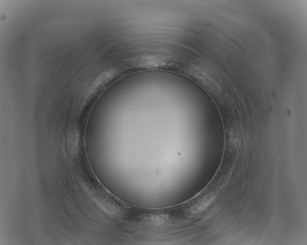 X0000070880304200606231349