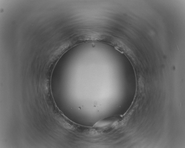 X0000070880305200606231349