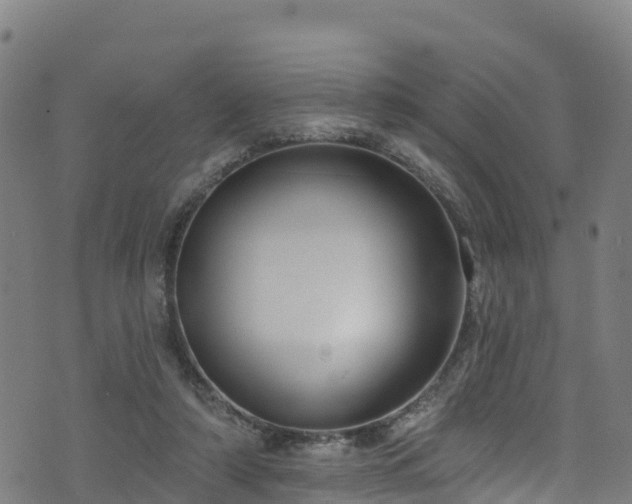 X0000070880306200606231349