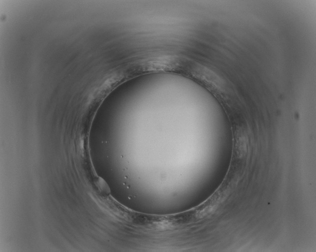 X0000070880310200606231349