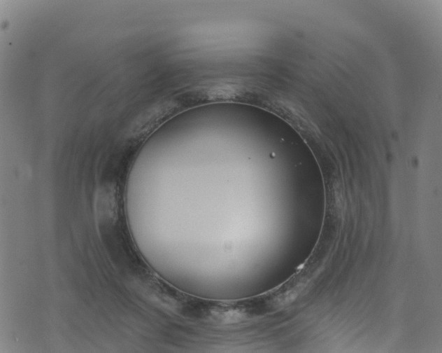 X0000070880311200606231349