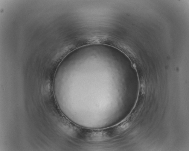 X0000070880314200606231349