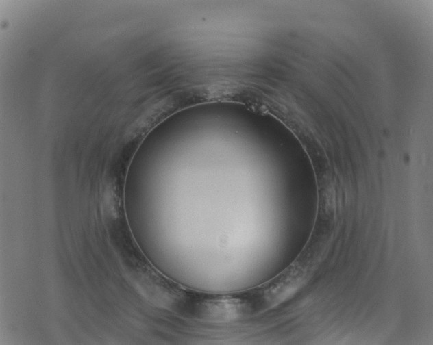 X0000070880316200606231349