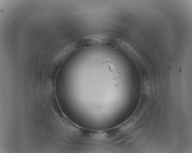 X0000070880318200606231349