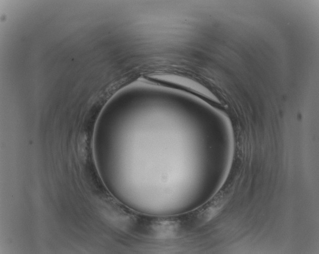 X0000070880319200606231349