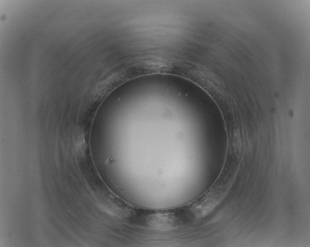 X0000070880320200606231349