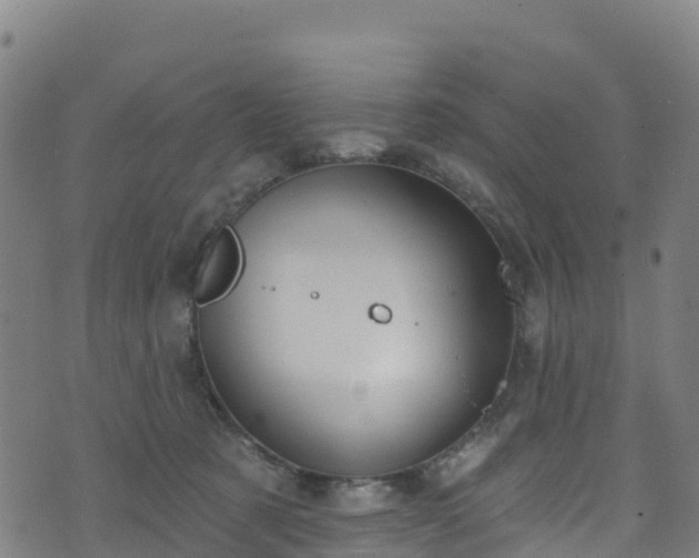 X0000070880321200606231349