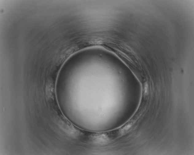 X0000070880322200606231349