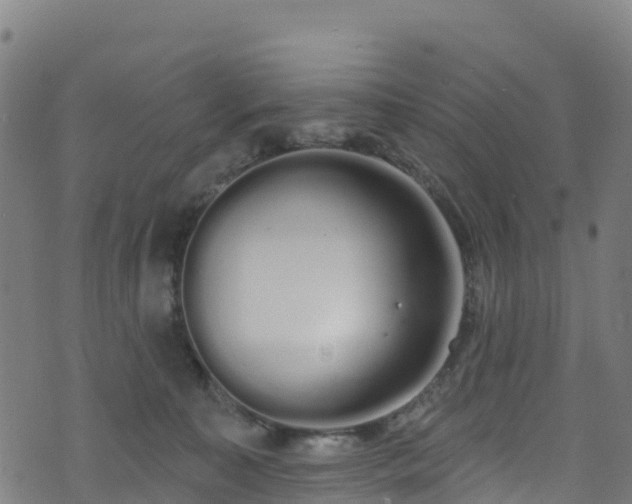 X0000070880323200606231349