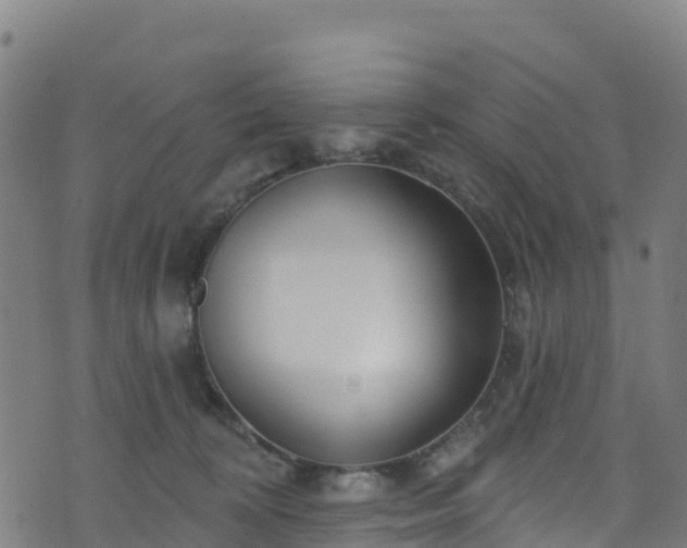 X0000070880324200606231349