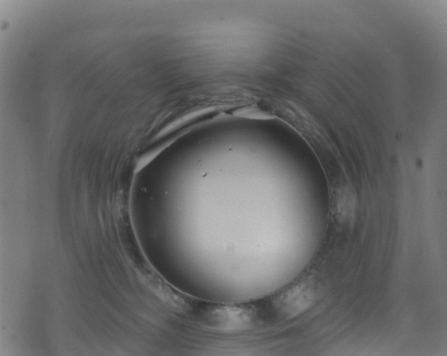 X0000070880326200606231349