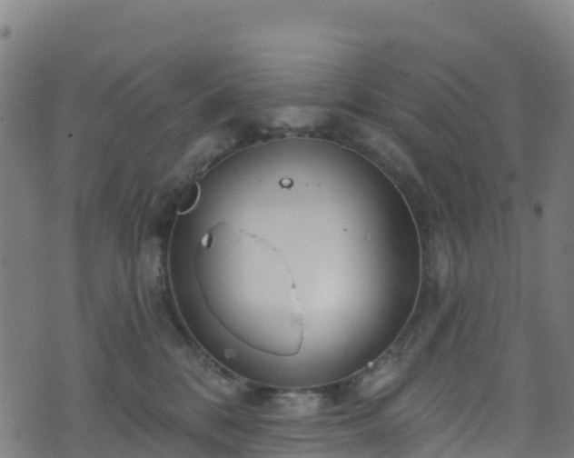 X0000070880328200606231349