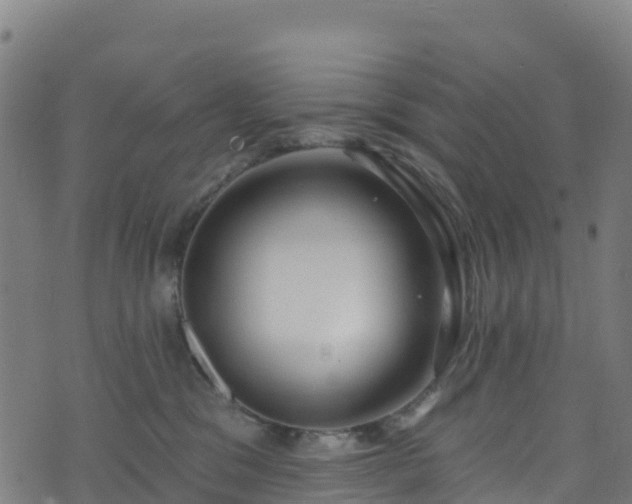 X0000070880329200606231349