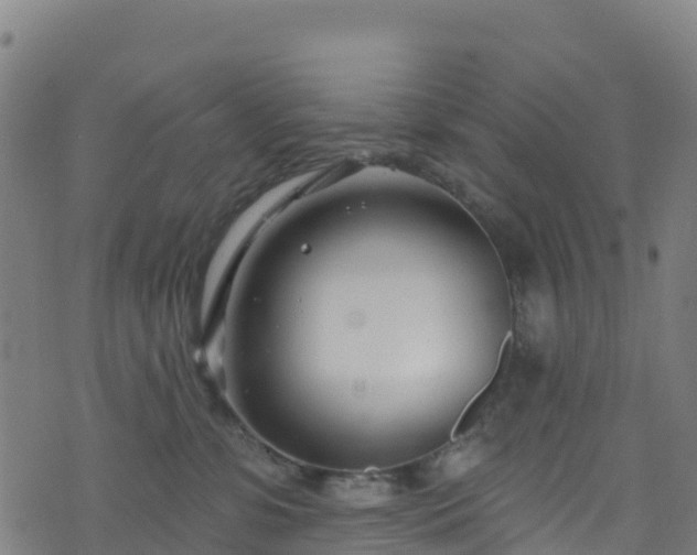 X0000070880331200606231349