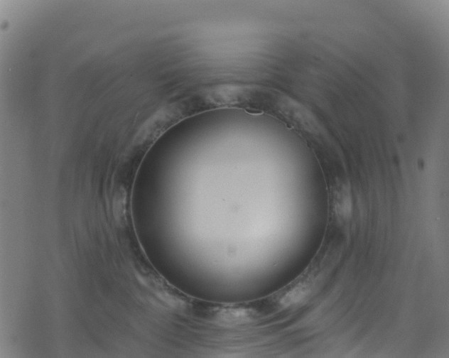 X0000070880332200606231349