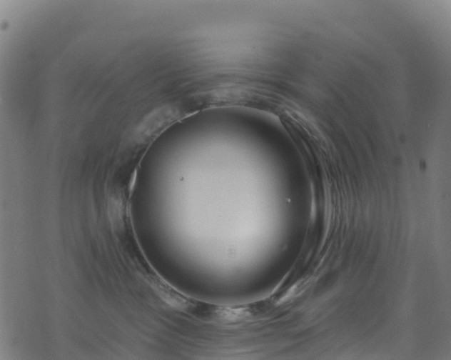 X0000070880333200606231349