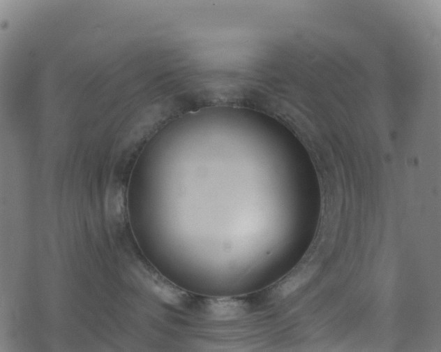 X0000070880336200606231349